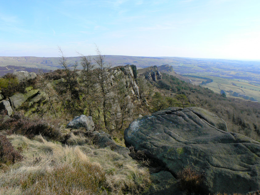 The Roaches The Roaches